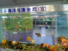 -福州长乐国际机场