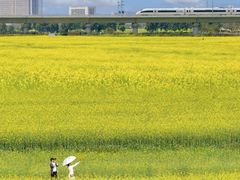 -光明小镇欢乐田园