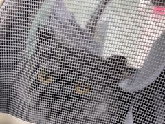 -佳雯宠物医院·皮肤科·内外科(春晓路分院)