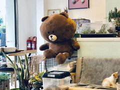 -平行世界·猫咖(首经贸店)