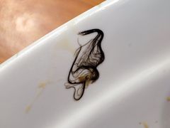 -钟方模白家肥肠粉(春熙店)