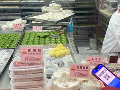-沈大成(南京东路店)