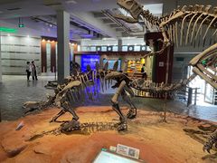 -自贡恐龙博物馆