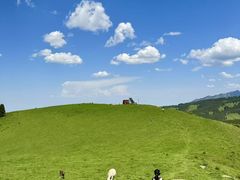 -塔兰齐新疆孜然火锅(鲤鱼山路店)