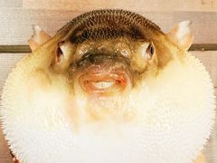 -永安鱼庄·镇江菜(东吴路店)