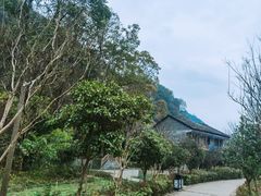 -高荡千年布依古寨旅游景区