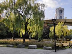 -苏州河梦清园环保主题公园