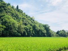 -贵阳市花溪国家城市湿地公园