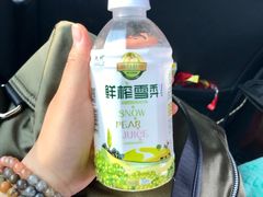 -赵州桥景区