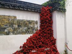 -青果巷历史文化街区