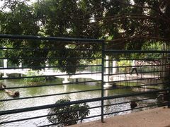 -九龙公园