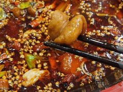 -烧哥美蛙肥肠鱼火锅·十五年社区店