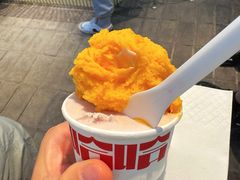 -红楼HONGLOU Gelato(淮海中路店)