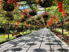-东平国家森林公园