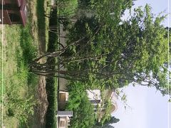 -中国农业博物馆