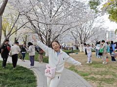 -西北湖绿化广场