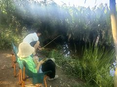 -白鹭湾湿地公园