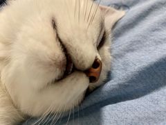 -美联众合动物医院·24h京西诊疗中心