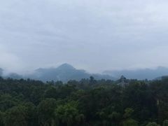 -成都蒲江花样年福朋喜来登度假酒店·宜客乐西餐厅