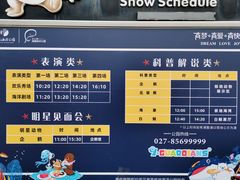 -海合安武汉极地海洋公园