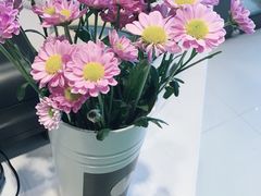 -CoCo都可(盐城宝龙城市广场店)