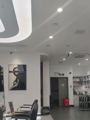 -YESIDO椰岛造型
