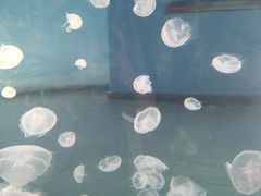 -福州罗源湾海洋世界旅游区