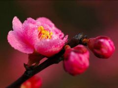 -杭州六谷生态休闲农庄有限公司