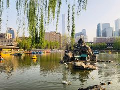 -团结湖公园