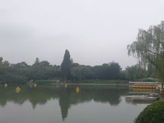 -皇家御河游(紫御湾码头)