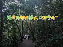 -呀诺达热带雨林