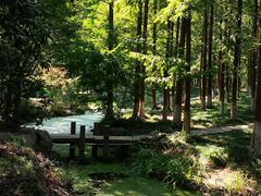 -新洲生态园