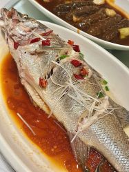 -青岛李沧绿城喜来登酒店·宴会厅