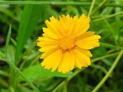 -四里河滨水生态公园