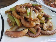 -鲁前海沿儿