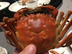 -徐记海鲜(梅溪新天地店)