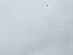 -平湖九龙山旅游度假区