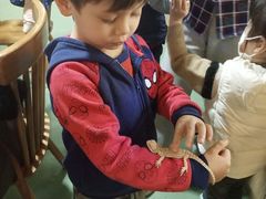 -藦茜花园宠物主题亲子互动体验馆(国顺东路店)