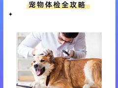 -康成宠物医院24H·CT·核磁共振