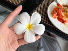 -水都餐厅