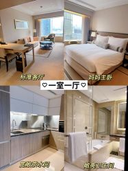 -巍阁高端月子会所