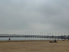 -碧海金沙