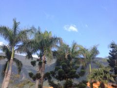 -太鲁阁公园