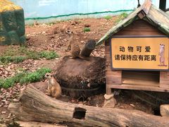 -无锡动物园·太湖欢乐园