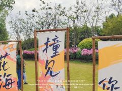 -径山花海