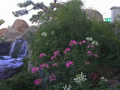 -罗红摄影艺术馆