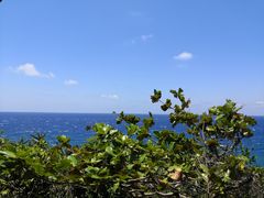 -鹅銮鼻公园
