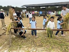 -武汉紫薇都市田园