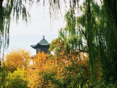 -迎泽公园