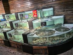 -浩运海鲜·16年专注青岛菜(石老人店)